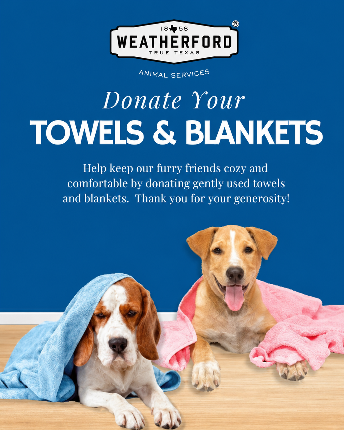 Weatherford Animal Shelter Towel and Blanket Drive